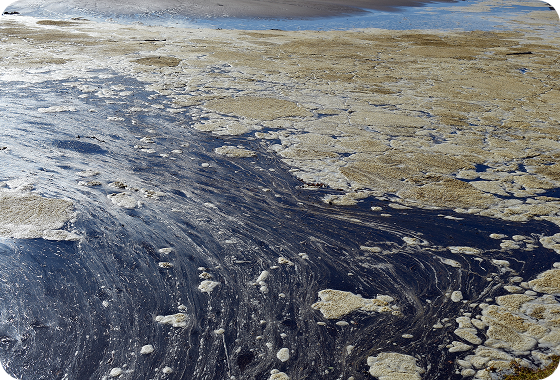 A polluted water surface is covered with brownish foam and dark oily streaks, indicating contamination and environmental damage.