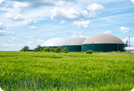 Three large domed biogas tanks stand in a green field under a partly cloudy blue sky, surrounded by some vegetation and trees.